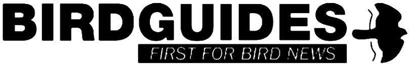 BirdGuides logo